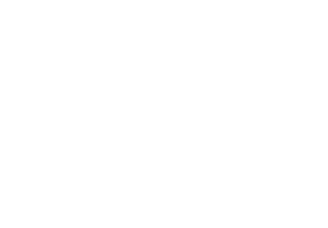 Home Appraisal Solutions White Logo